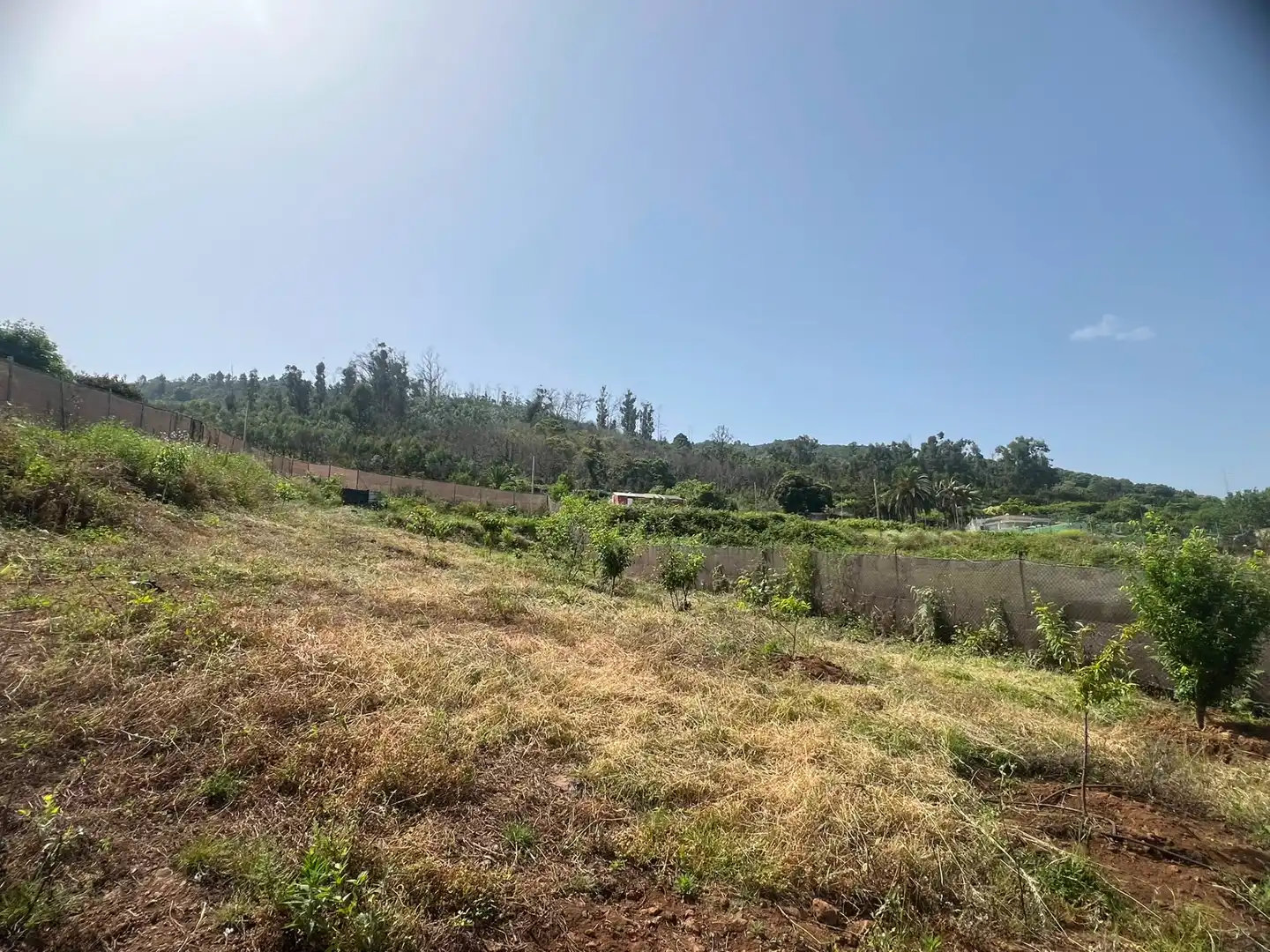Terreno rústico en venta en Carretera Nueva Corujera, imagen 12