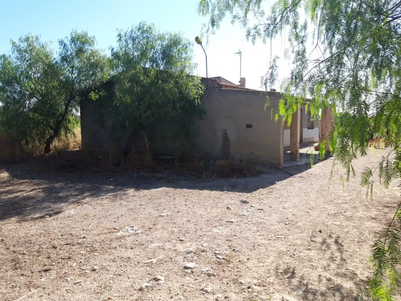 Finca rústica en venta en Crevillent