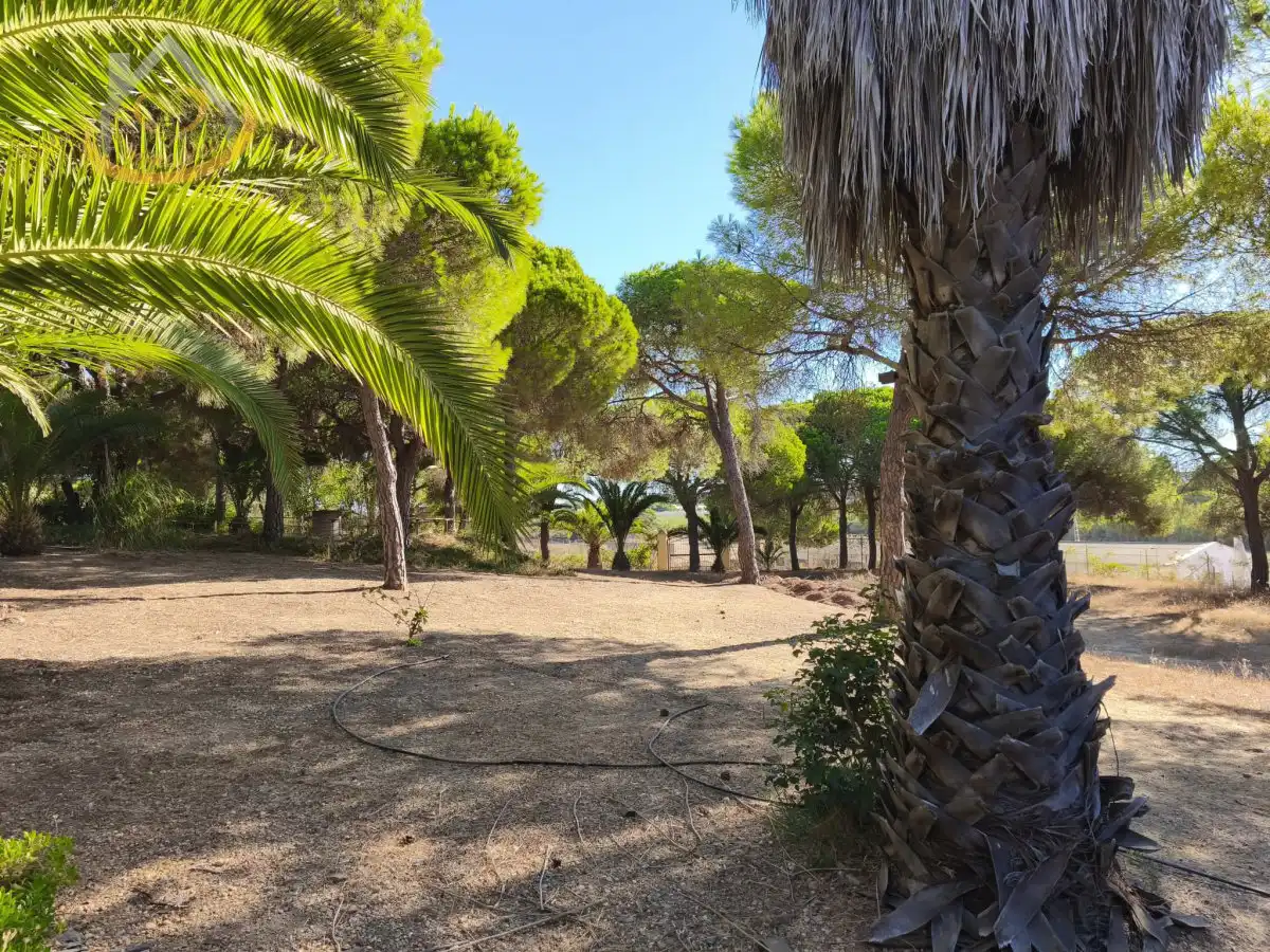 Garten von Grundstücke zum Verkauf in Isla Cristina
