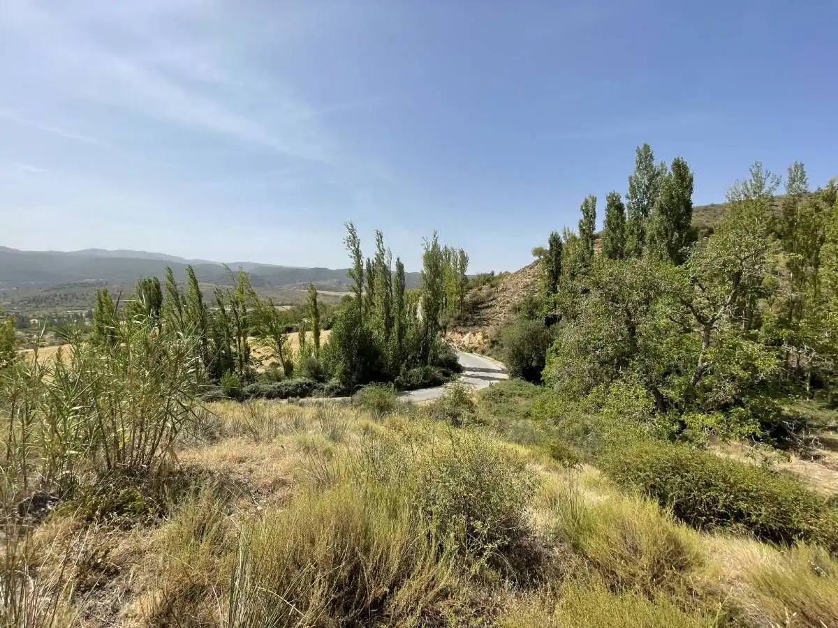 Casa rústica en venda a Aldea Cortijo Viejo 1, imagen 7