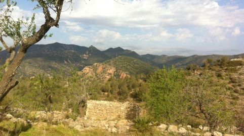 Foto 2 de Casa o chalet en venta en La Vall d'Uixó, Castellón