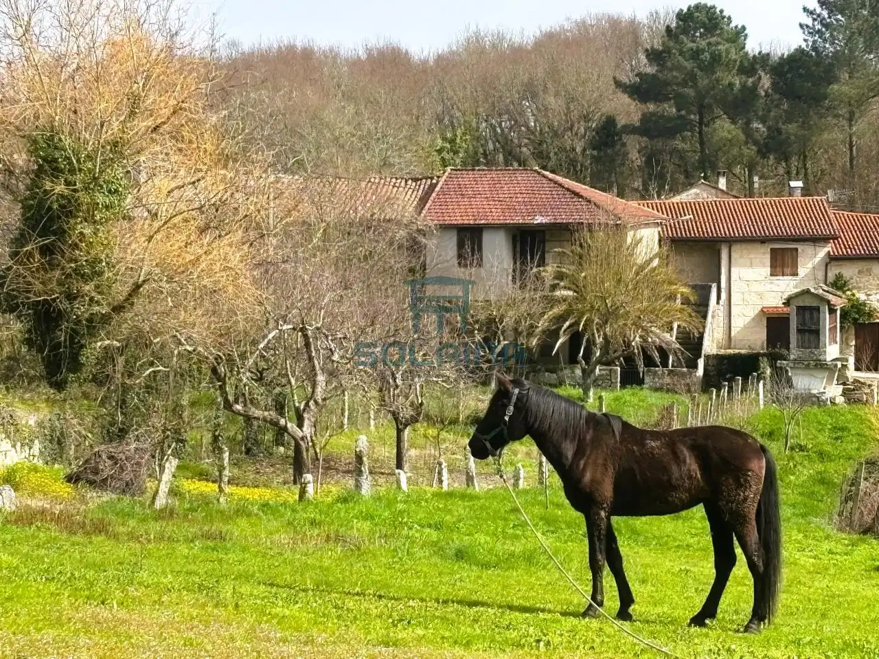 Casa amb jardí en venda a Amoeiro, imagen 8