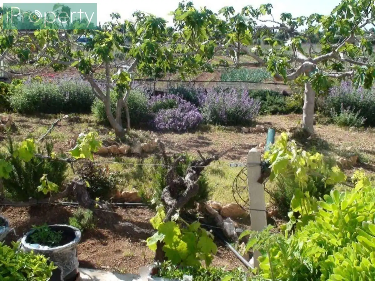 Jardín de Finca rústica en venta en El Vendrell con Aire acondicionado, Calefacción y Jardín privado