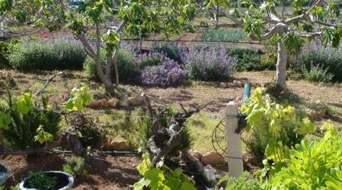 Foto 3 de Finca rústica en venda a Plaza de Mar S/n, Centre, Tarragona