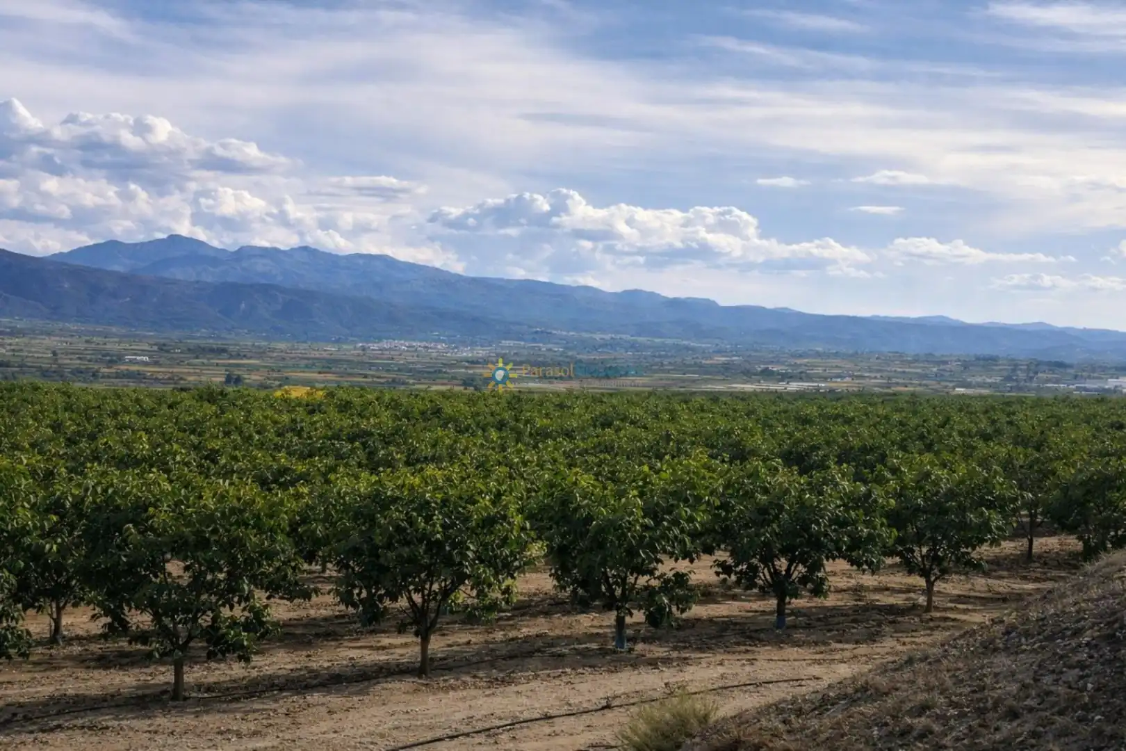 Vista exterior de Finca rústica en venda en Benigànim amb Traster