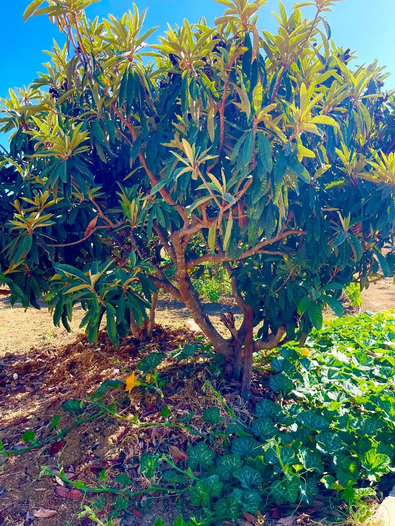Finca rústica en venda a poligono, 14, Valle Romano Golf