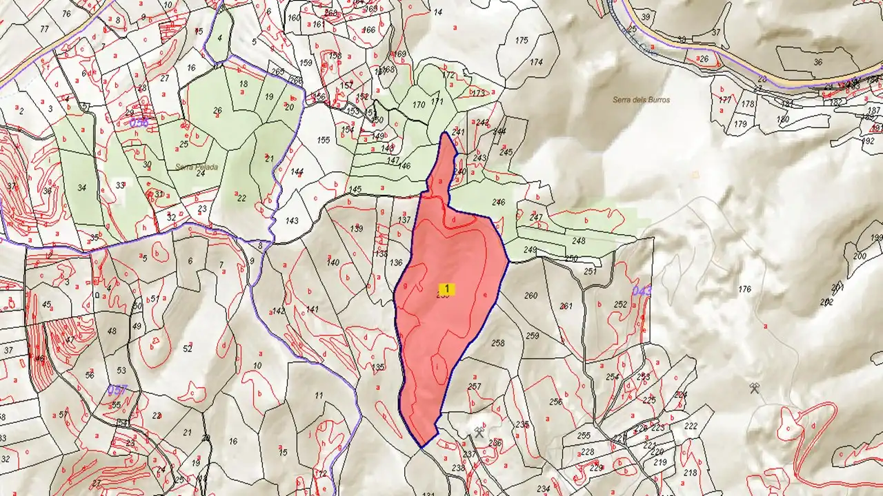 Terreny rústic en venda a Paraje Algayat, imagen 2