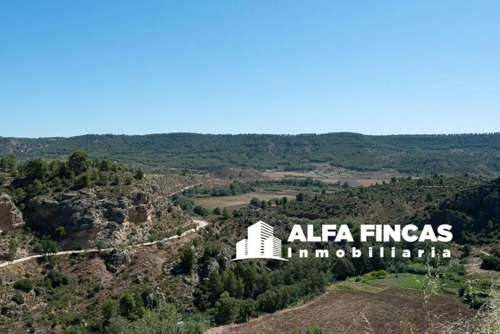 Land for sale in Enguídanos