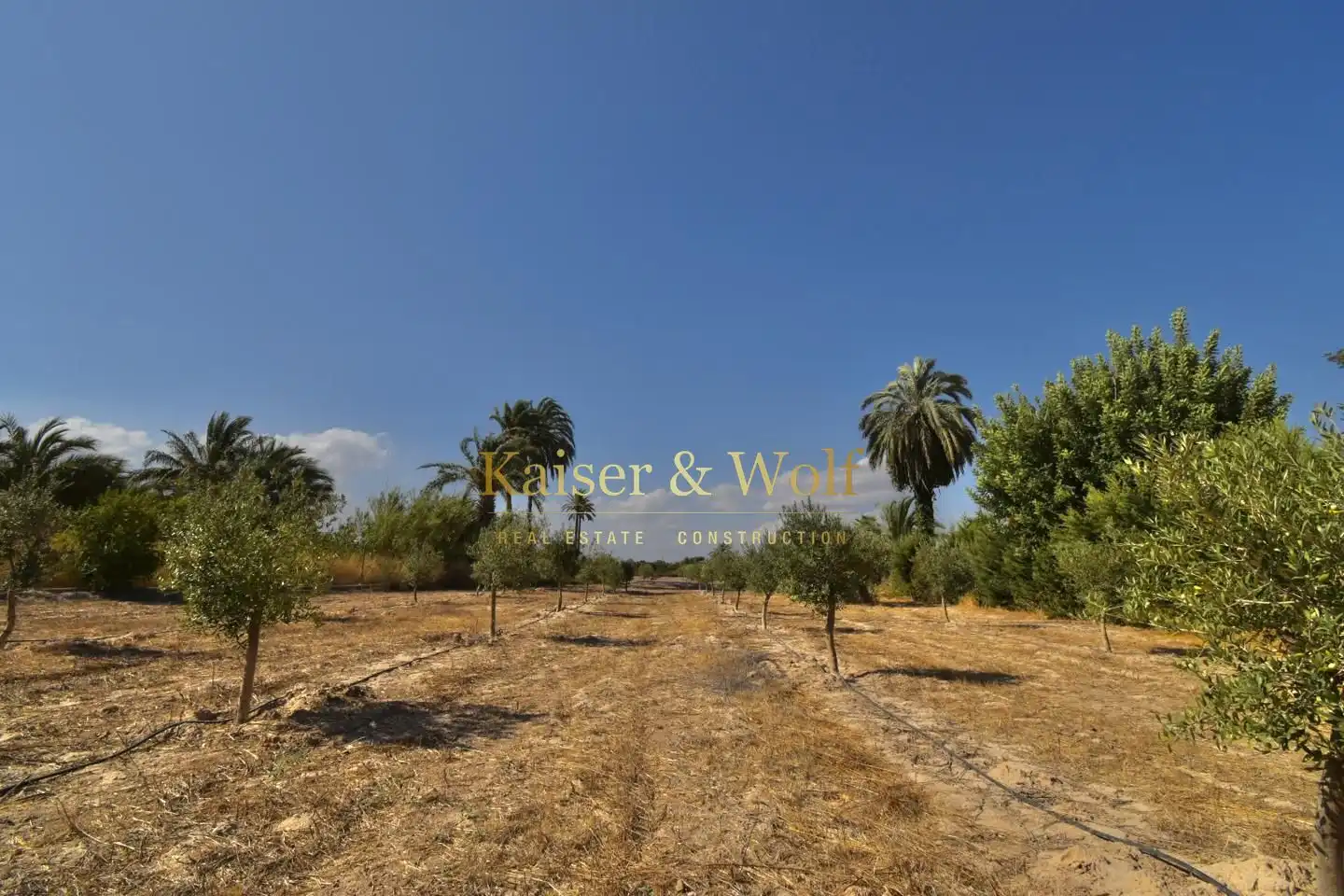 Houses for sale in Elche / Elx  with Air Conditioner, Private garden and Terrace