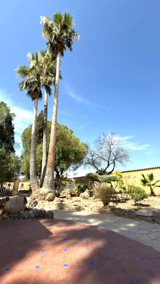 Jardín de Finca rústica en venta en Badajoz con Jardín privado y Piscina