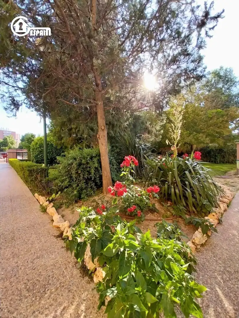 Garden of Flat for sale in Madrid  with Heating, Private garden and Terrace
