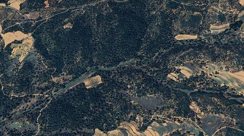 Foto 4 de Terreny en venda a Cortes de Arenoso, Castellón