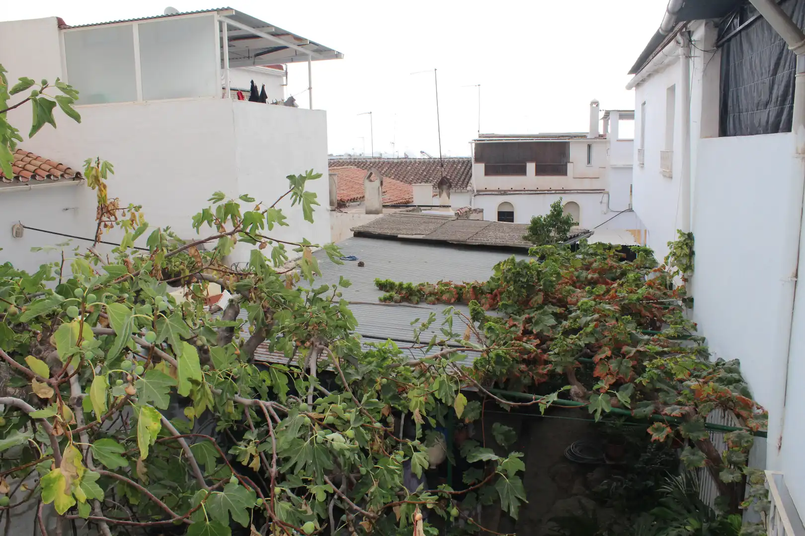 Casa rústica en venda a Coín, imagen 21
