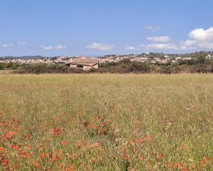 Finca rústica en venda a Sant Joan