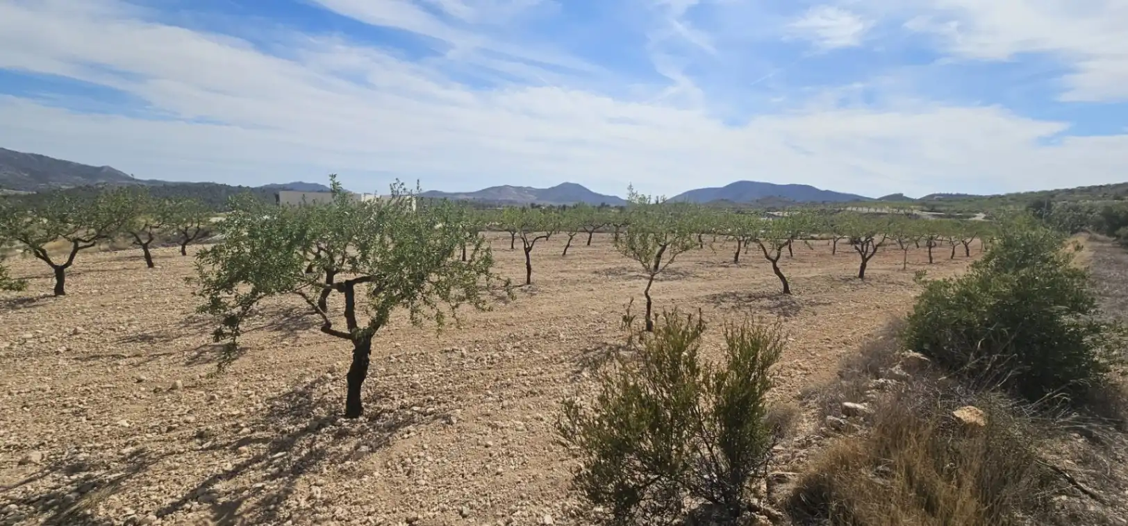 Wohnbaugrundstück zum Verkauf in Hondón de las Nieves / El Fondó de les Neus