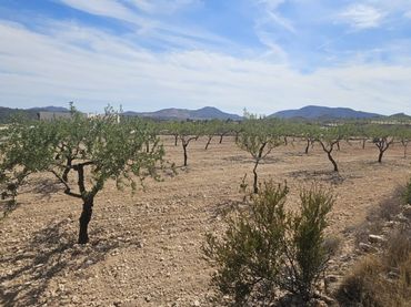 Terreny residencial en venda a Hondón de las Nieves / El Fondó de les Neus