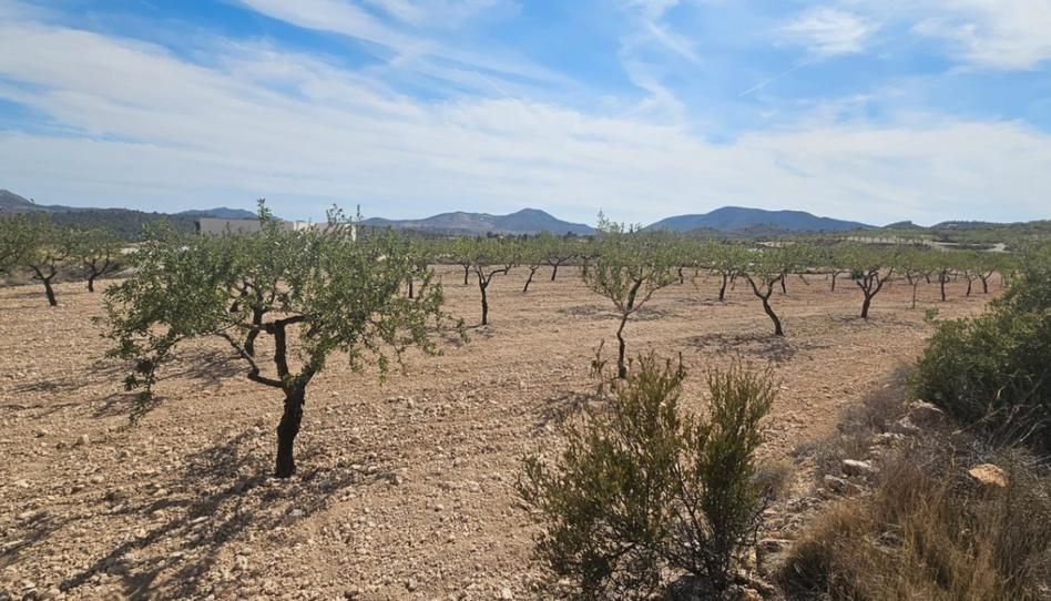 Photo 1 of Residential for sale in Hondón de las Nieves / El Fondó de les Neus, Alicante
