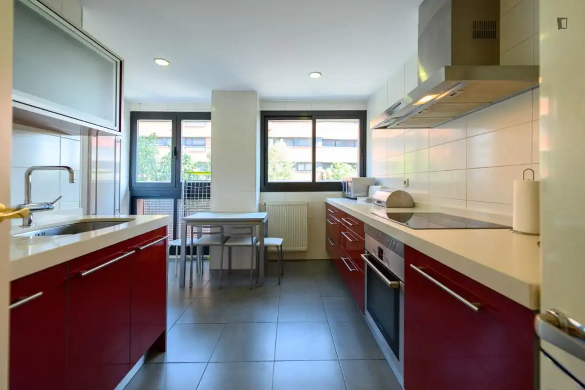 Cuina de Apartament de lloguer en Madrid amb Calefacció, Moblat i Forn