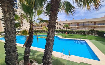 Schwimmbecken von Wohnungen zum verkauf in Elche / Elx mit Terrasse