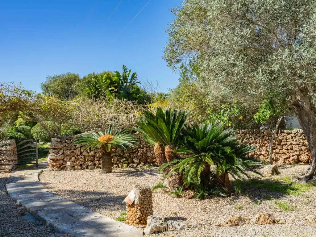 Jardí de Finca rústica en venda en Maó - Mahón