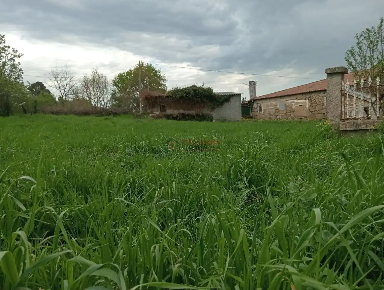 Casa amb jardí en venda a O Pereiro de Aguiar, imagen 32