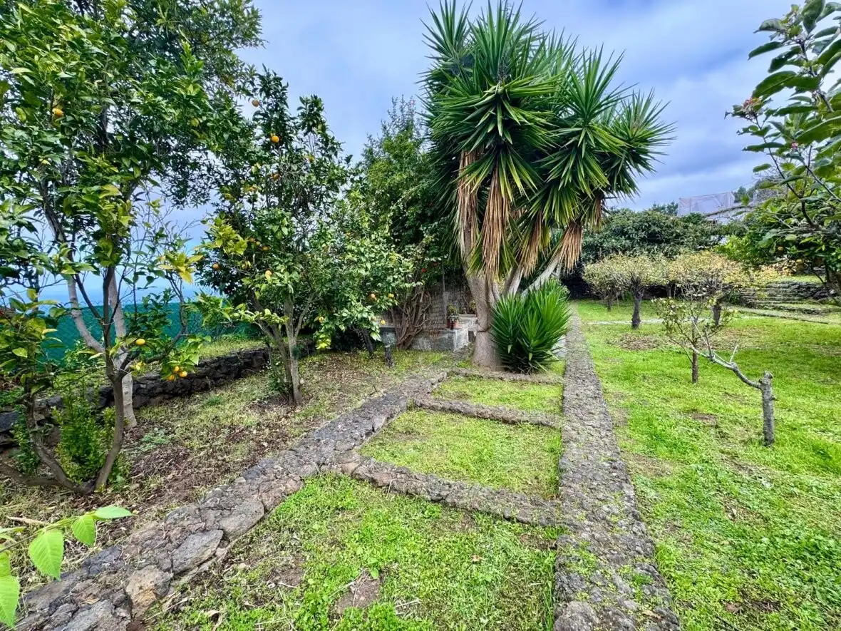 Jardí de Finca rústica en venda en Icod de los Vinos amb Terrassa