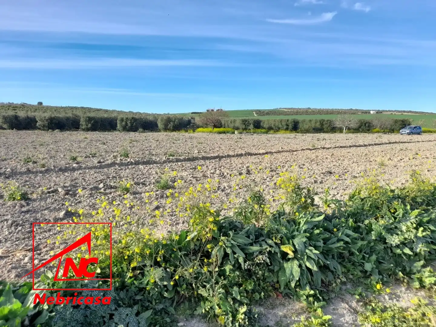 Terreni e lotti in vendita a Lebrija, imagen 15