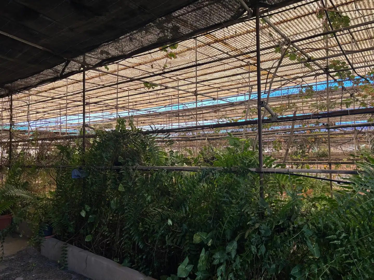 Vista exterior de Finca rústica en venda en Agüimes amb Jardí privat i Terrassa