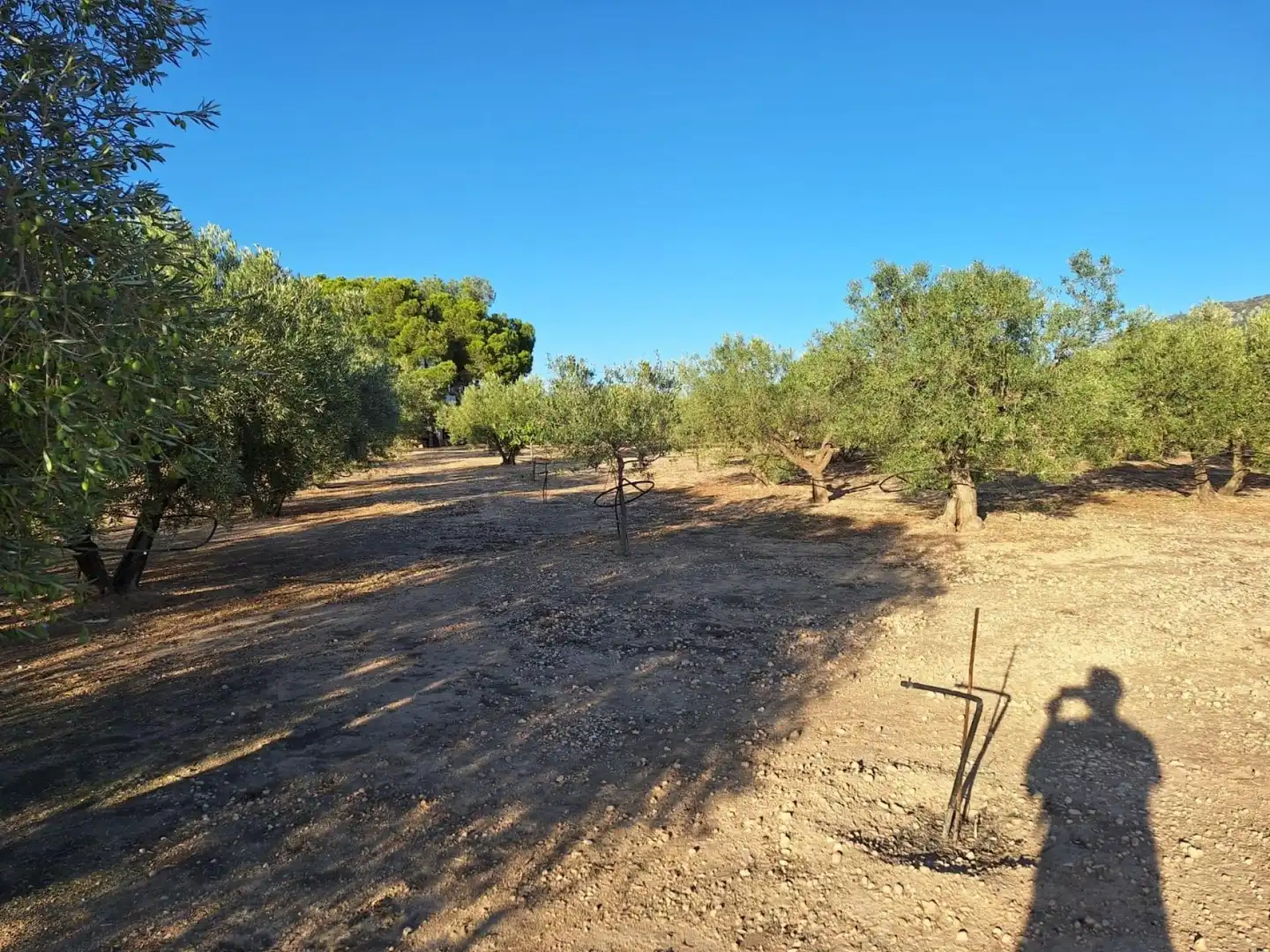 Finca rústica en venta en Villena con Terraza y Piscina