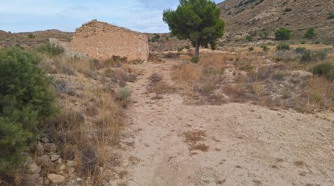 Foto 4 de Finca rústica en venda a Valle del Sol, Mutxamel