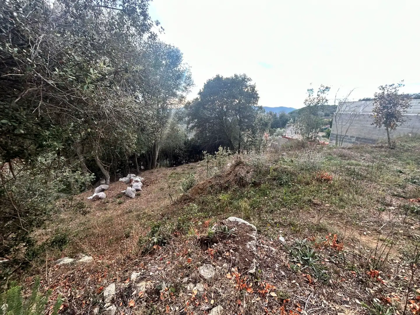 Terrain rustique à vendre à Dosrius - CL CAN DOMINGO, imagen 19