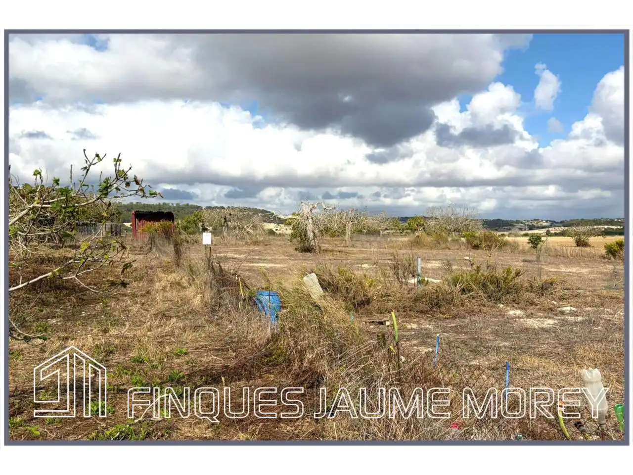 Finca rústica en venta en Maria de la Salut con Jardín privado
