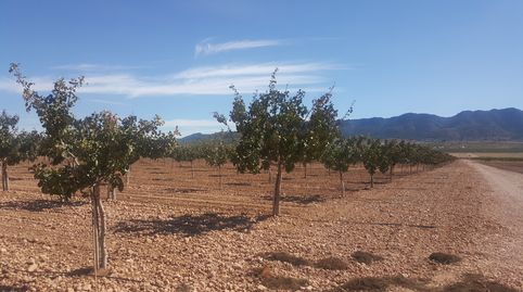 Foto 3 de Terreno en venta en San Fernando - Carretera de Valencia, Cuenca Capital