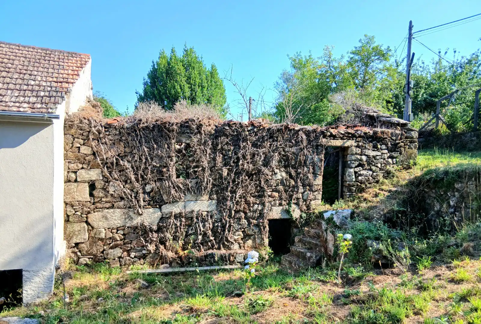 Casa rústica en venda a Gomesende, imagen 17