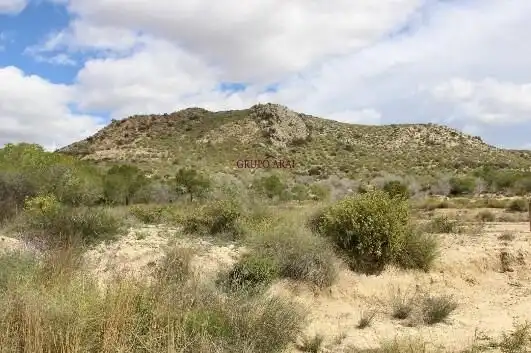 Terreny rústic en venda a de la Ballestera, imagen 7