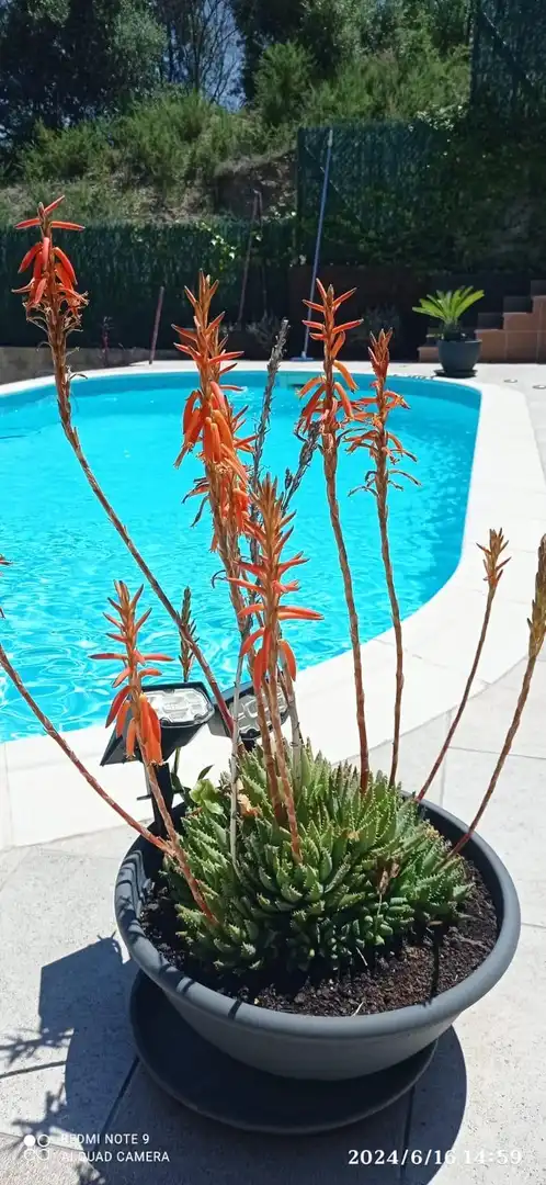 Villa con piscina in vendita a Masquefa, imagen 17