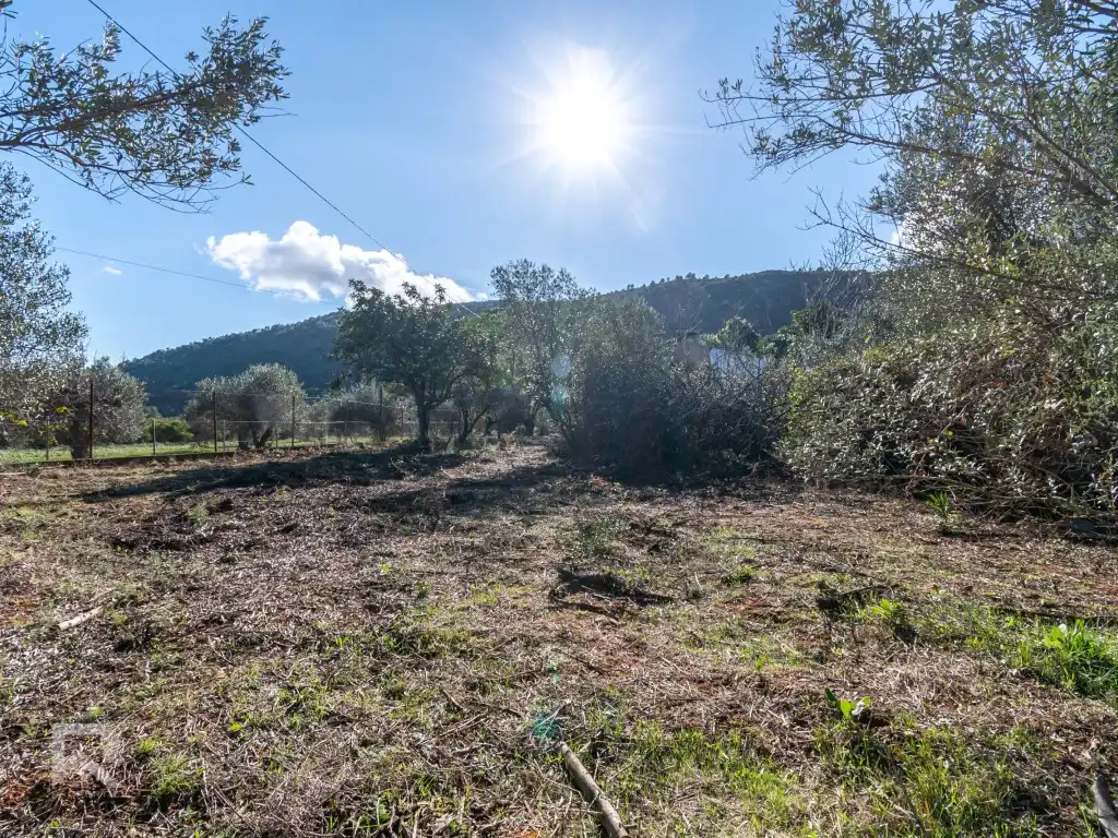 Casa o chalet en venta en Vilallonga / Villalonga