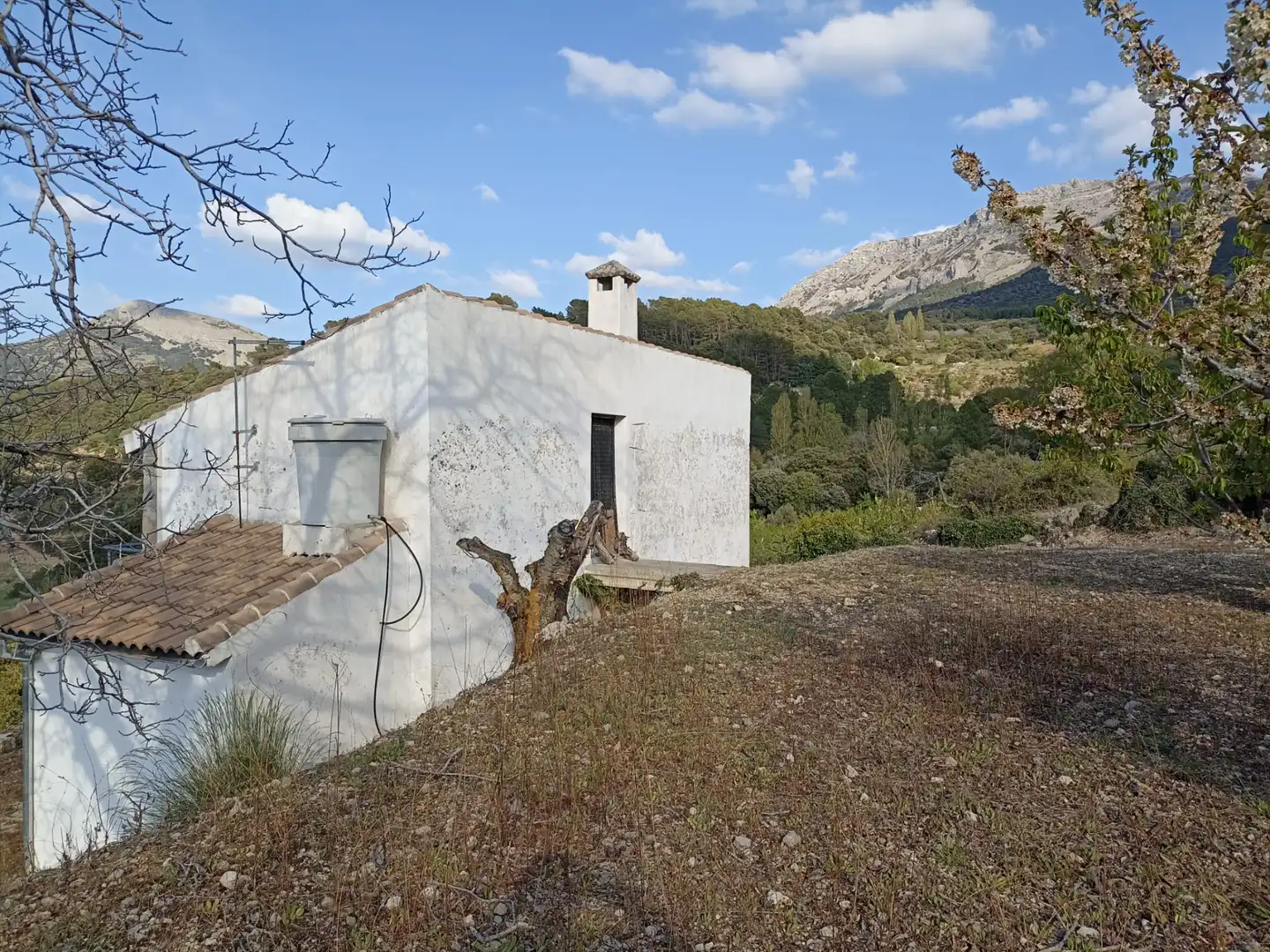 Exterior view of Land for sale in Torres