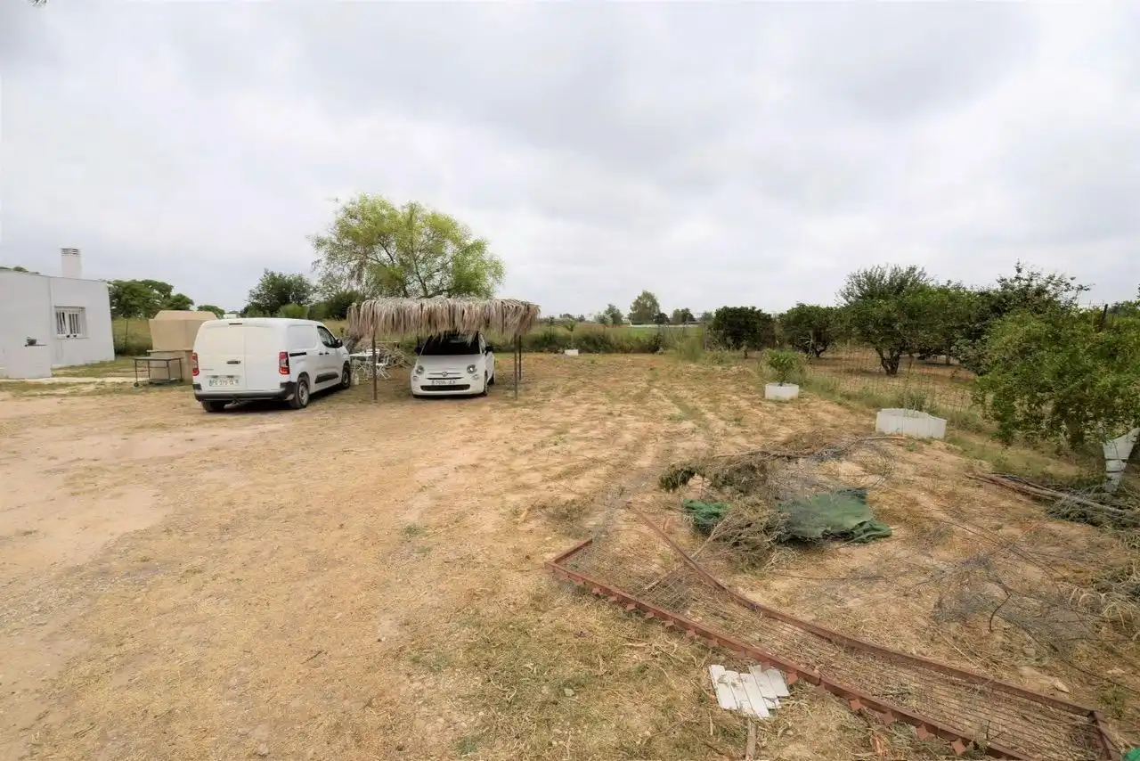 Finca rústica en venta en Daya Vieja