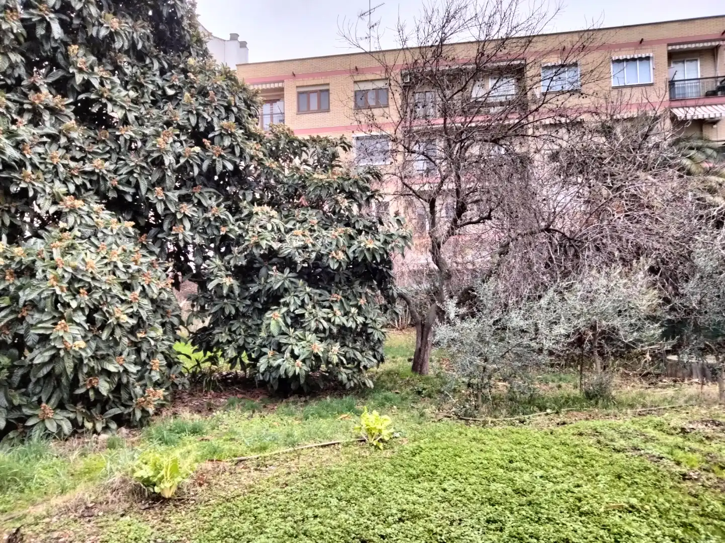 Business premises for sale in Logroño - Ronda de los Cuarteles, imagen 3