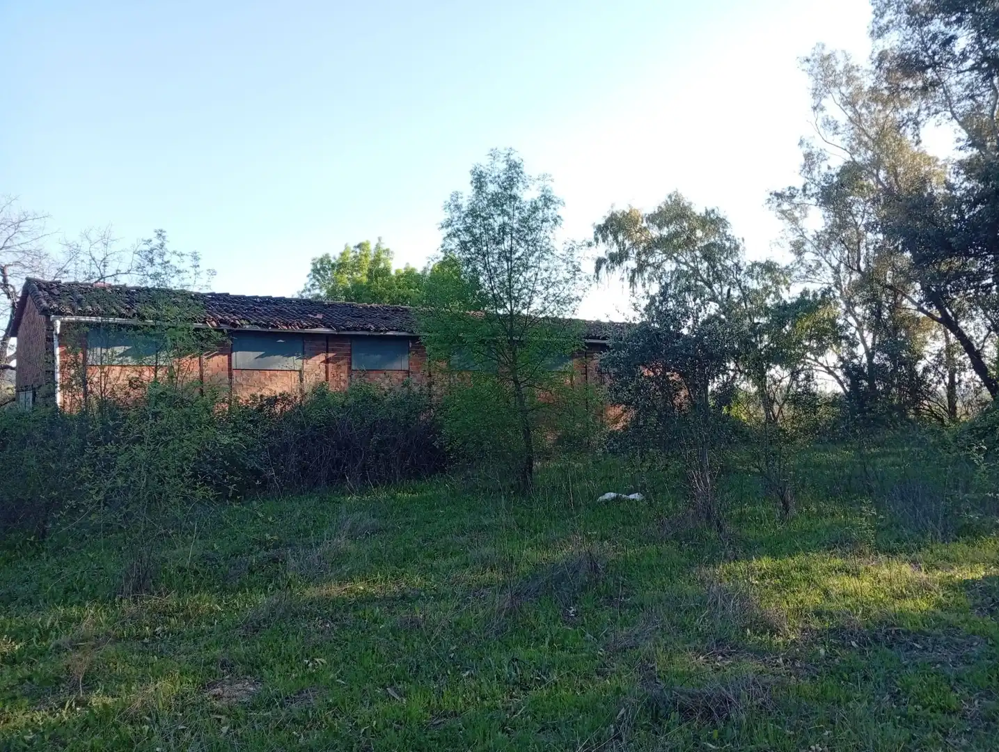 Terreni e lotti in vendita a Villanueva de la Vera, imagen 138