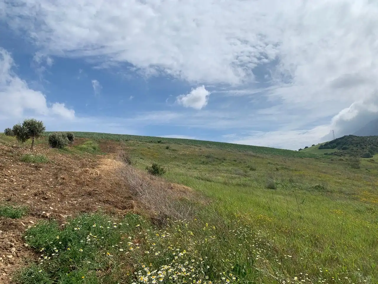 Terreny rústic en venda a Valle de Abdalajís, imagen 6