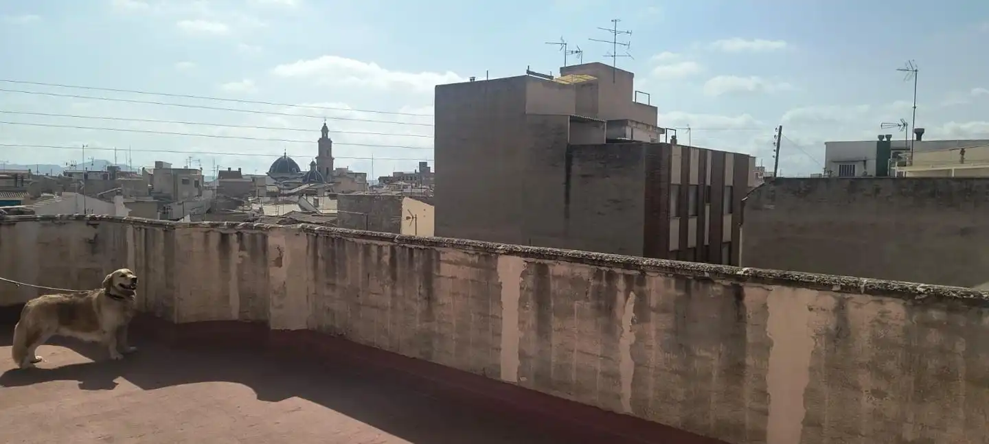 Terrace of Country homes for sale in Novelda  with Terrace and Balcony