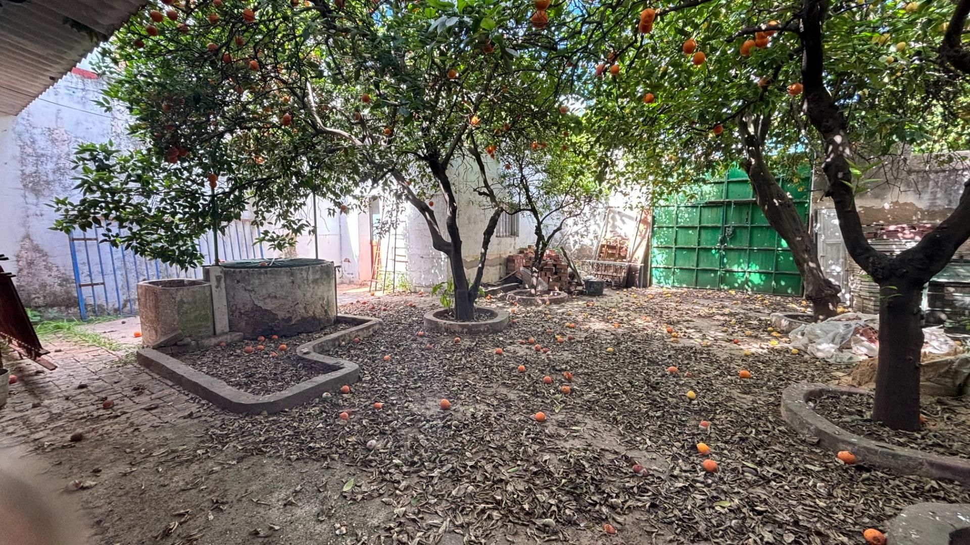 Jardí de Casa o xalet en venda en Pilas amb Jardí privat, Terrassa i Traster