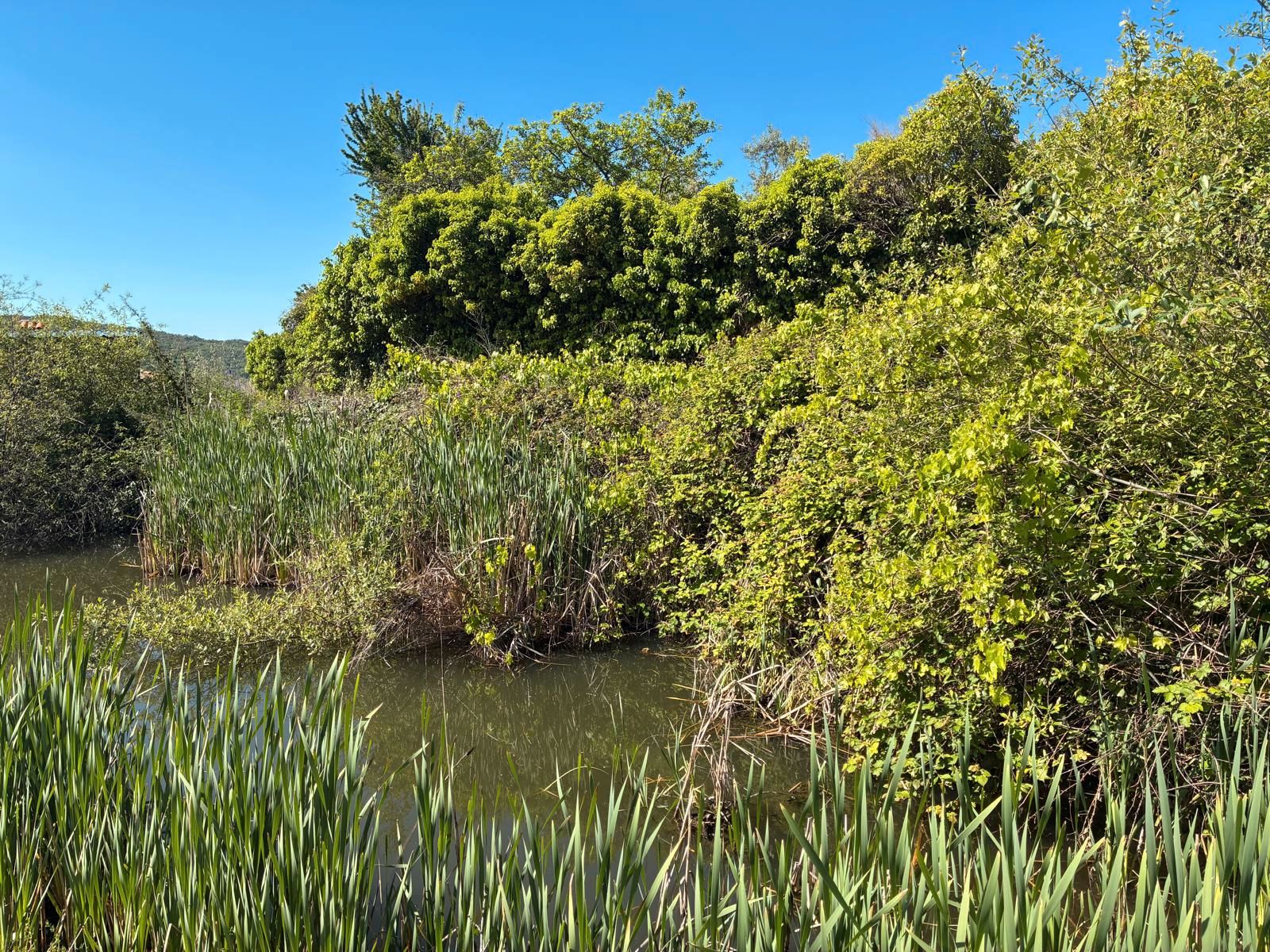 Grundstücke zum verkauf in Pasarón de la Vera