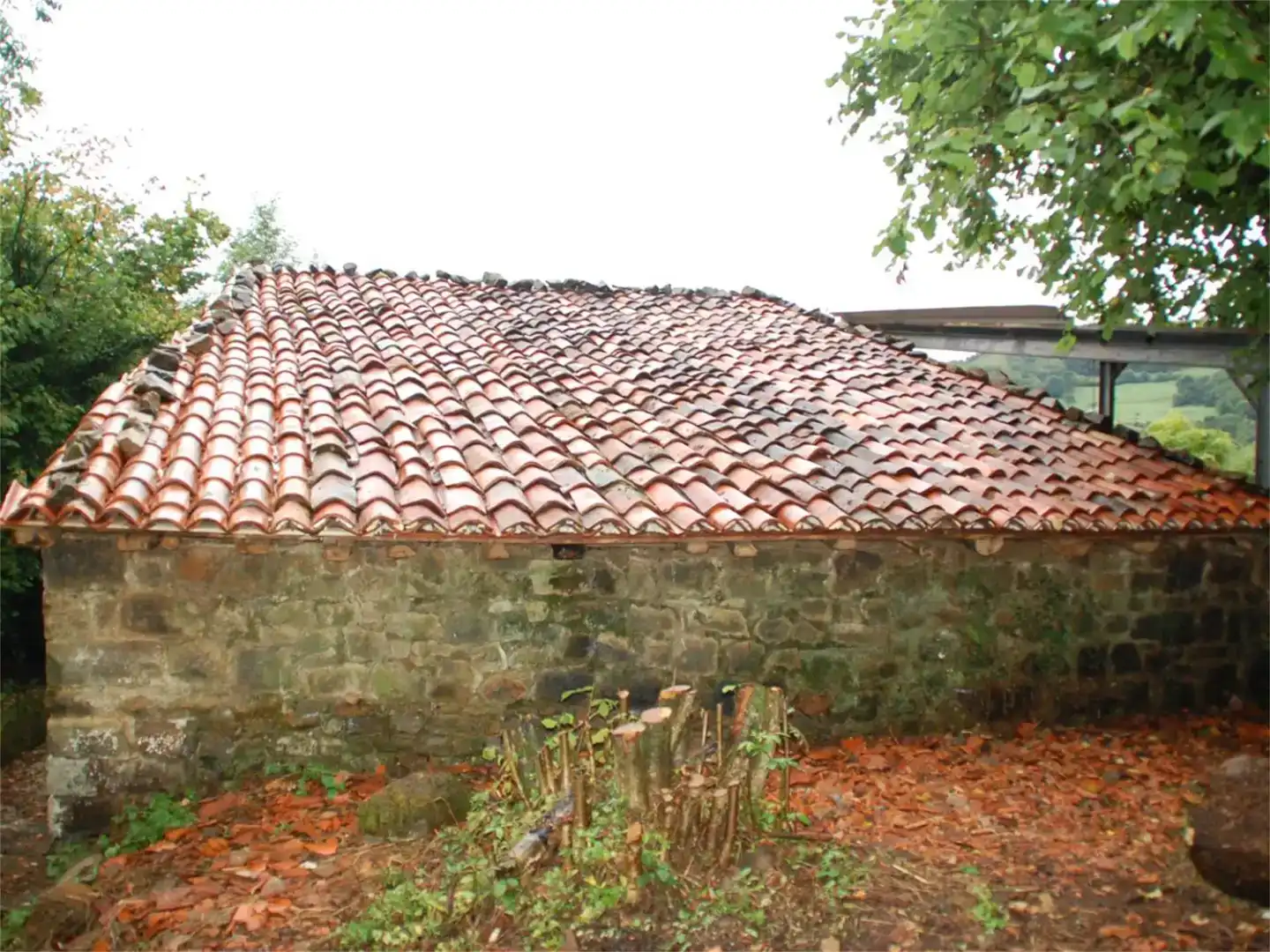 Vista exterior de Finca rústica en venda en Cabrales