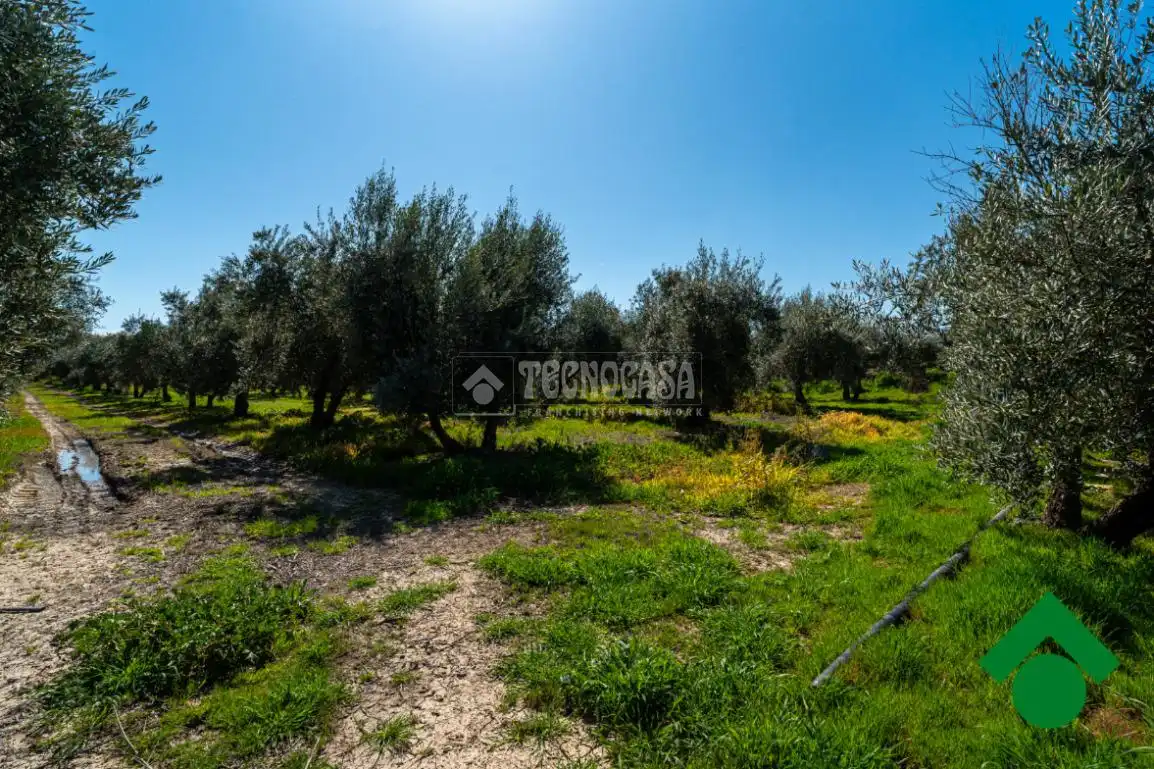 Finca rústica en venta en Chauchina