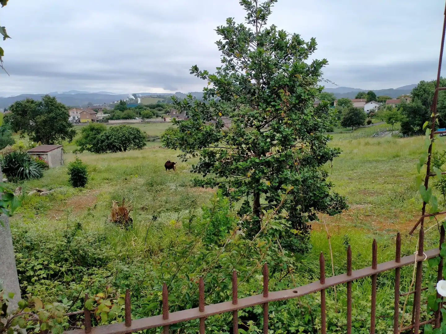 Terreno rustico in vendita a Maliaño, imagen 5