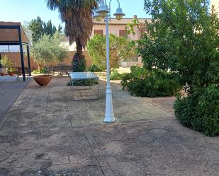 Jardí de Casa adosada en venda en Chinchón