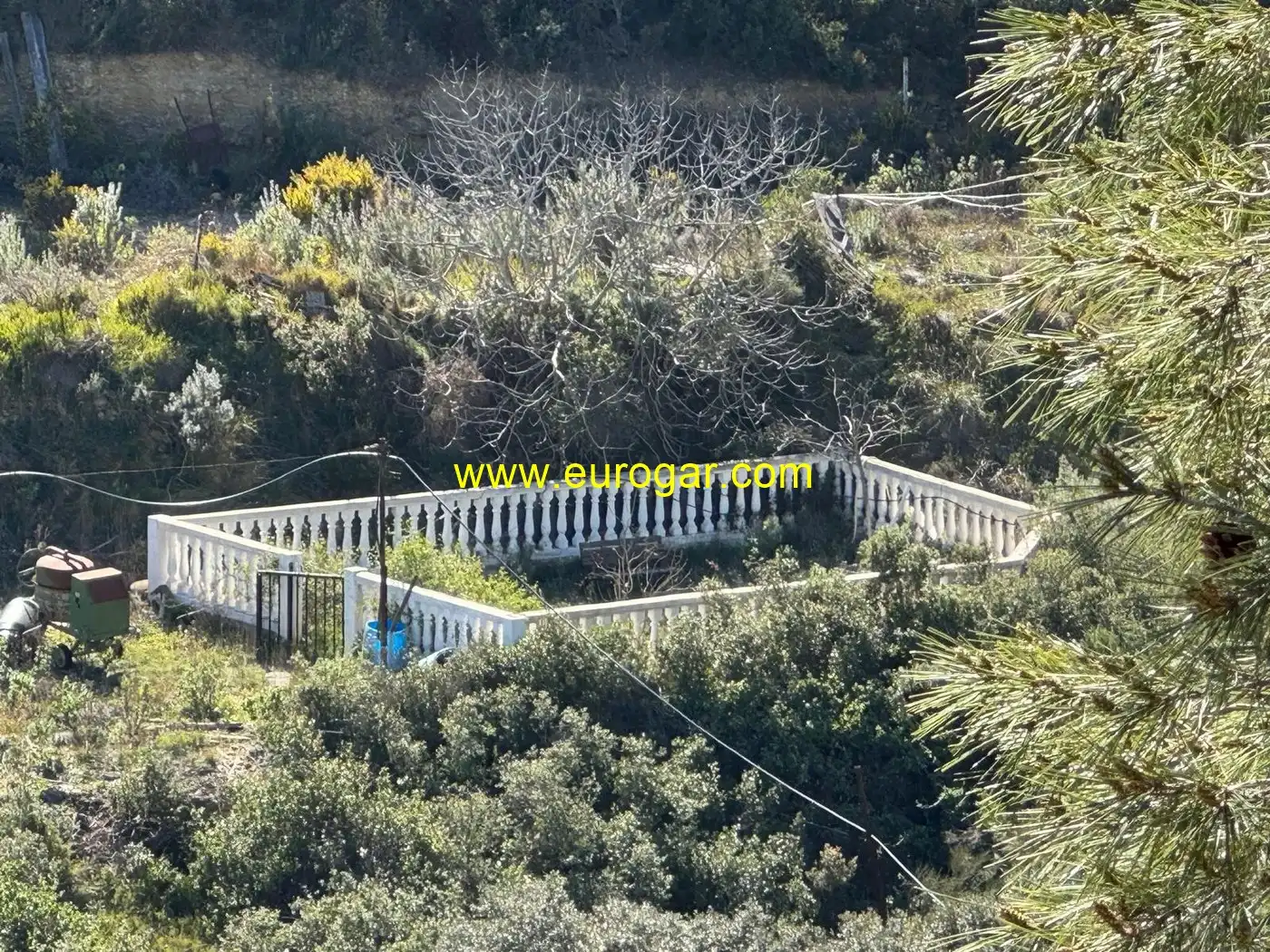 Finca rústica en venta en Chiva